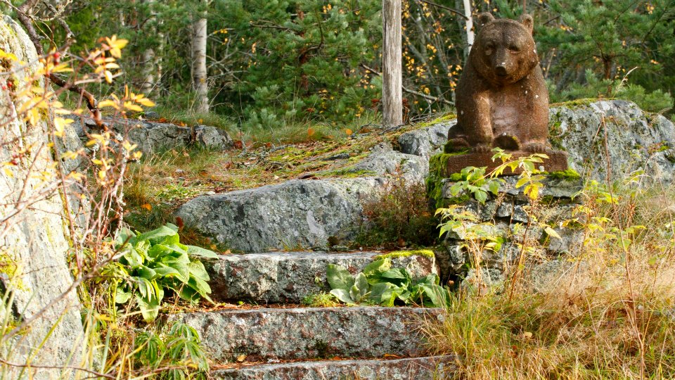 vartiosaari3_jarmo